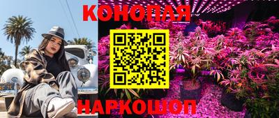 стафф Нижний Тагил